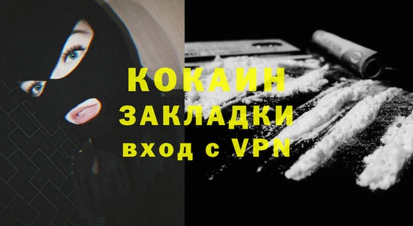 трава Корсаков