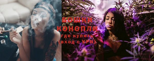 гашик Шали