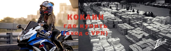 гашик Шали